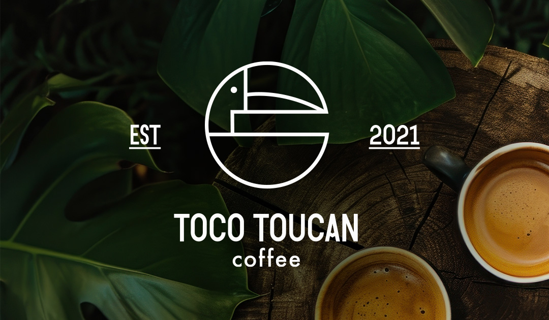 toco-toucan